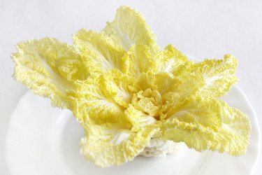 Similar image 5493295