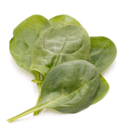 Similar image 5493334