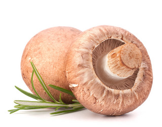 Similar image 5493335