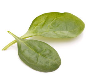 Similar image 5493354