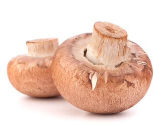 Similar image 5493355