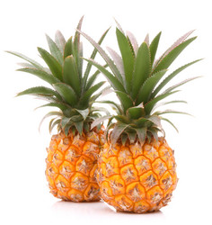 Similar image 5493359