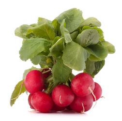 Similar image 5493361