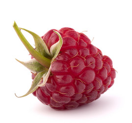 Similar image 5493370