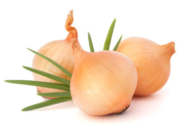 Similar image 5493378