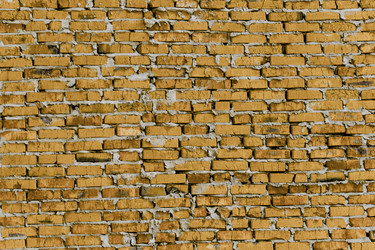 Similar image 5493513