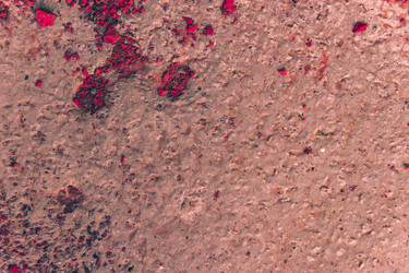 Similar image 5493518