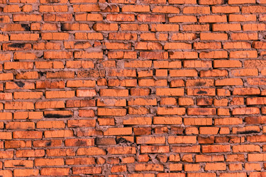 Similar image 5493524