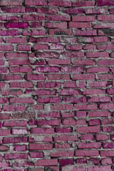 Similar image 5493545