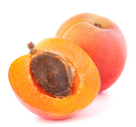 Similar image 5493547