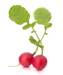 Similar image 5493549