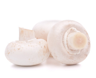 Similar image 5493554