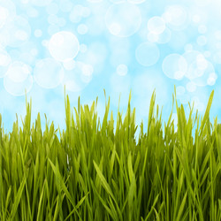 Similar image 5493565