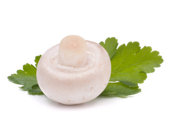 Similar image 5493566