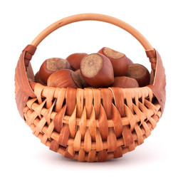 Similar image 5493569