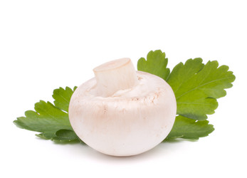 Similar image 5493571