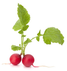 Similar image 5493580