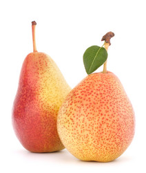 Similar image 5493585