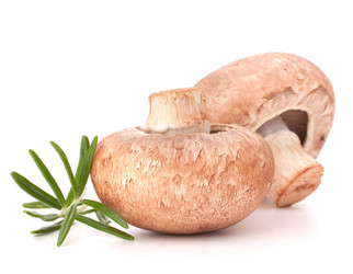 Similar image 5493587