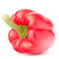 Similar image 5493598