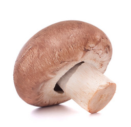 Similar image 5493617