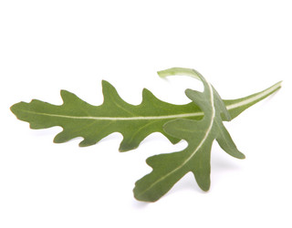 Similar image 5493625