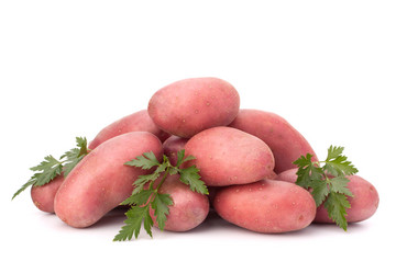 Similar image 5493627