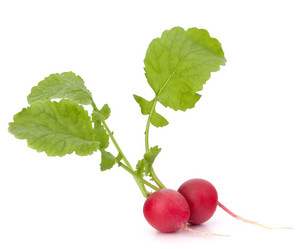 Similar image 5493634