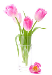 Similar image 5493638