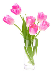 Similar image 5493649