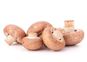 Similar image 5493658