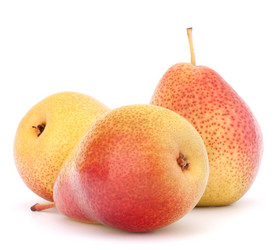 Similar image 5493661