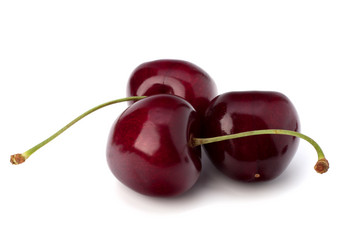 Similar image 5493663