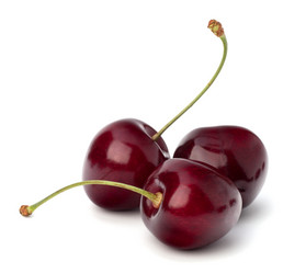 Similar image 5493678