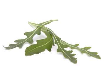 Similar image 5493681