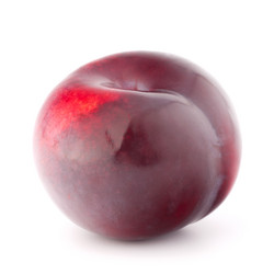 Similar image 5493683