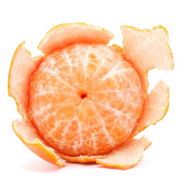 Similar image 5493711