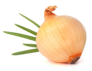 Similar image 5493714