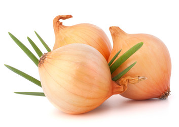 Similar image 5493718