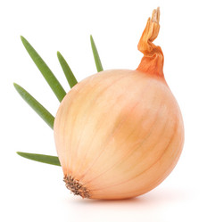 Similar image 5493727