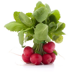 Similar image 5493741