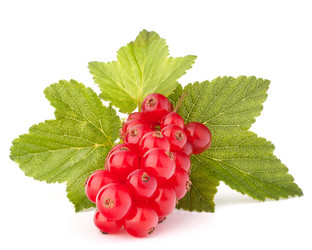 Similar image 5500448