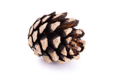 Similar image 5500475