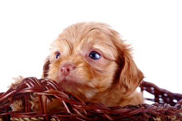 Similar image 5500488