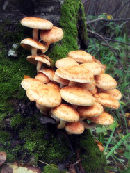 Similar image 5500514