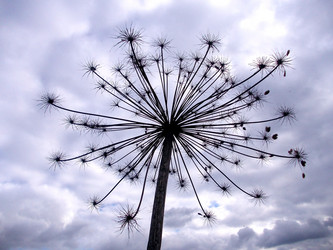 Similar image 5500518