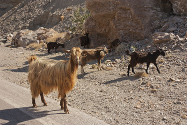 Similar image 5500532