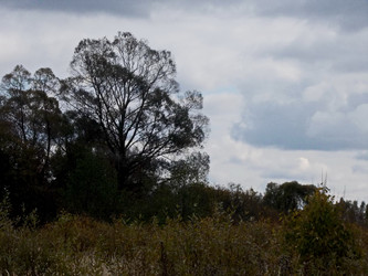 Similar image 5500536