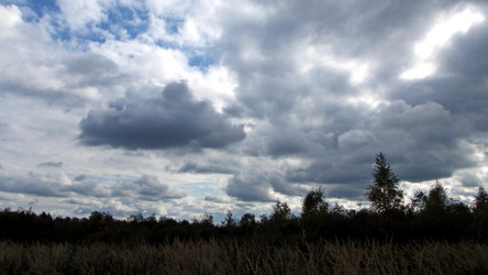 Similar image 5500537