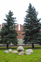 Similar image 5500556